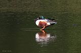 IMG_5996_bentn_dk