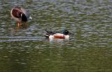 IMG_6007_bentn_dk