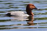 IMG_5512_bentn_dk
