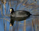 IMG_3656_bentn_dk
