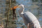 P1280602_bentn_dk