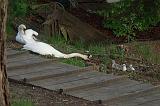 P5115209_bentn_dk