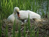 P5165506_bentn_dk