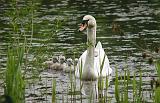 P5205553_bentn_dk