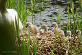P5205556_bentn_dk