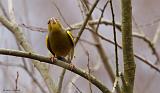 IMG_5947_bentn_dk