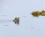 IMG_1710_bentn_dk