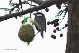 P1090209_bentn_dk