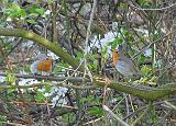 P1340915_bentn_dk