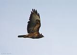 IMG_1838_bentn_dk