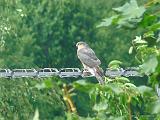 P1380963_bentn_dk