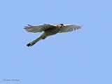 IMG_4012_bentn_dk