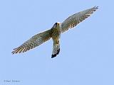 IMG_4018_bentn_dk