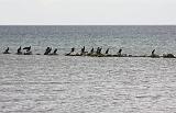 IMG_0534_bentn_dk
