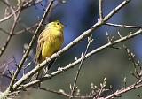 IMG_1959_bentn_dk
