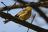 IMG_2075_bentn_dk