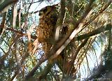 IMG_9942_bentn_dk