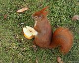 IMG_5143_bentn_dk