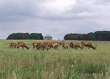 P7251726_bentn_dk
