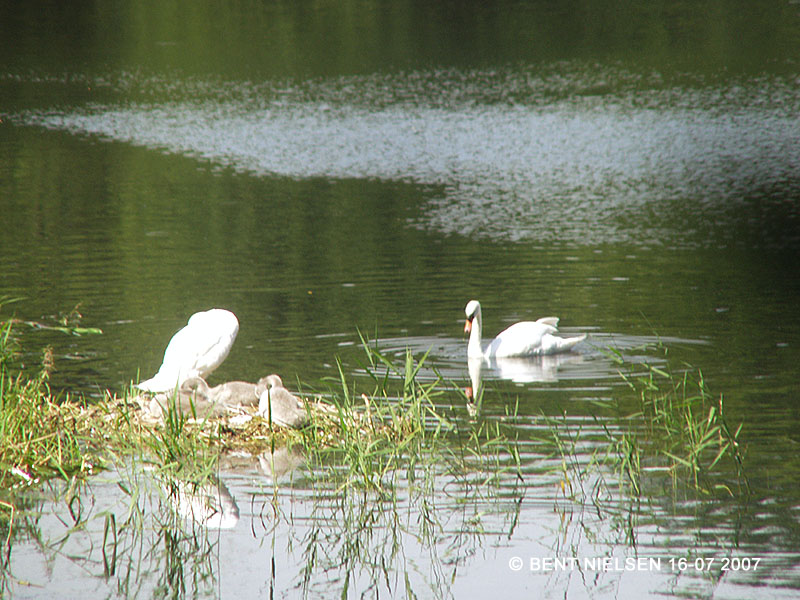 Image 5 of 12  -  147 kB