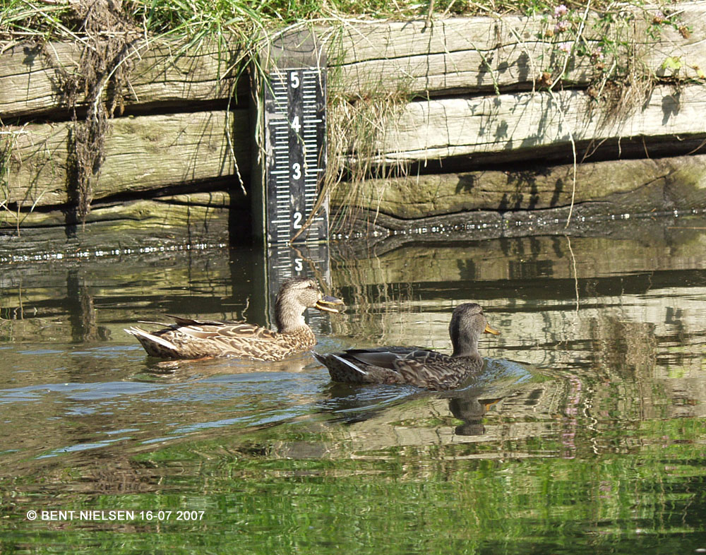 Image 10 of 12  -  312 kB