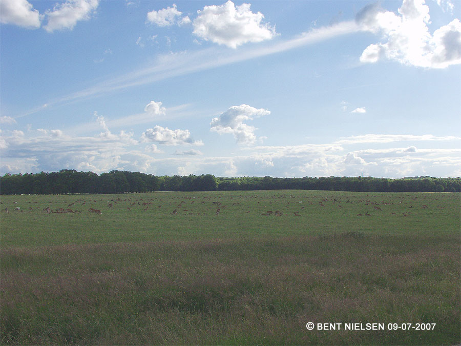 Image 16 of 16  -  128 kB