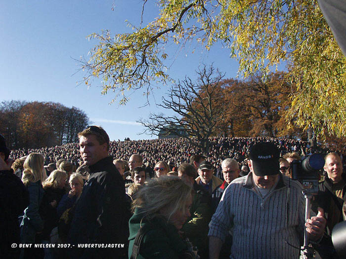 Image 7 of 38  -  124 kB