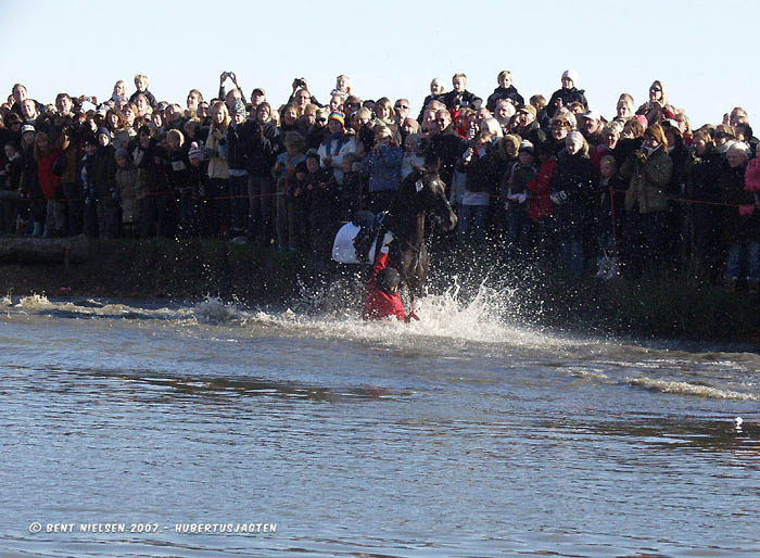 Image 11 of 38  -  103 kB