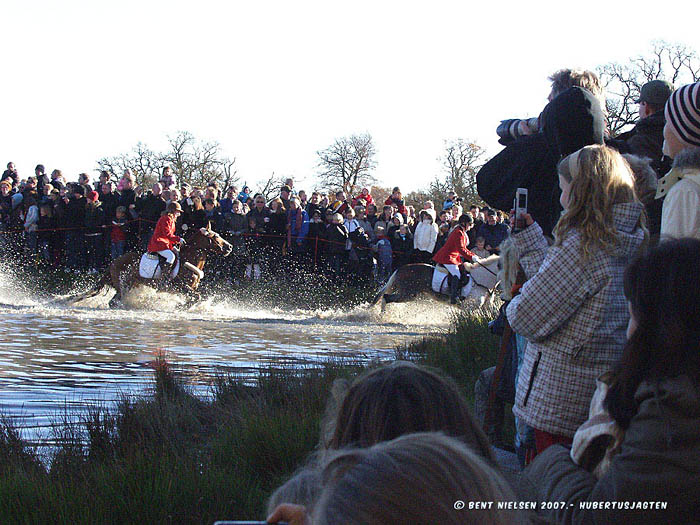 Image 21 of 38  -  107 kB