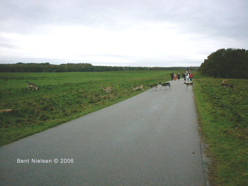 Image 19 of 20  -  108 kB