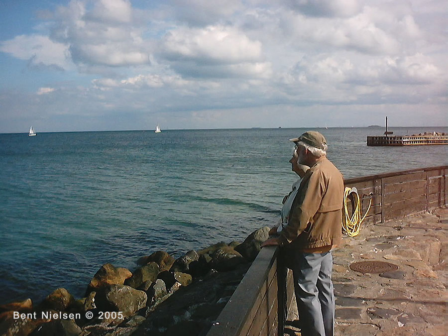 Image 10 of 14  -  142 kB