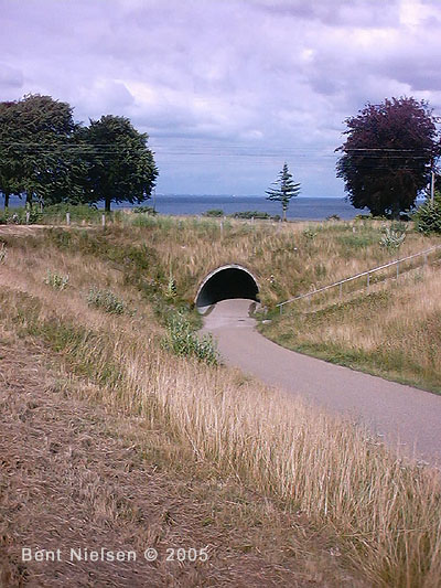 Image 11 of 14  -  86 kB
