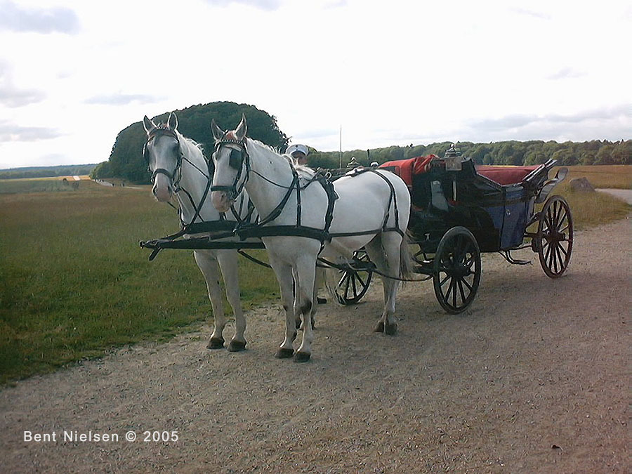 Image 12 of 14  -  153 kB