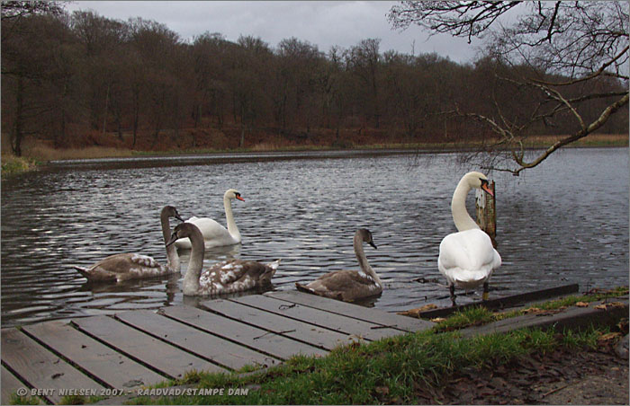 Image 16 of 20  -  104 kB